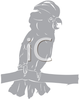 Bird Clipart