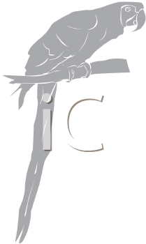 Bird Clipart