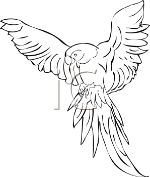 Bird Clipart