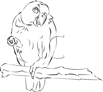 Bird Clipart