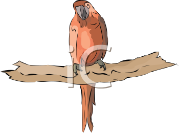 Bird Clipart