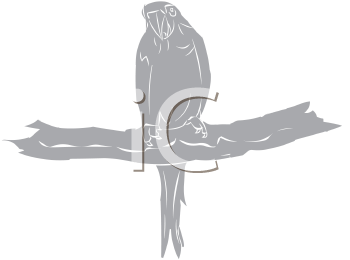 Bird Clipart