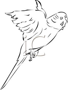 Bird Clipart