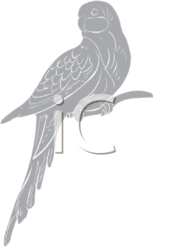 Bird Clipart