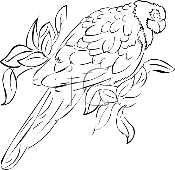 Bird Clipart