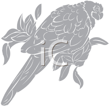 Bird Clipart