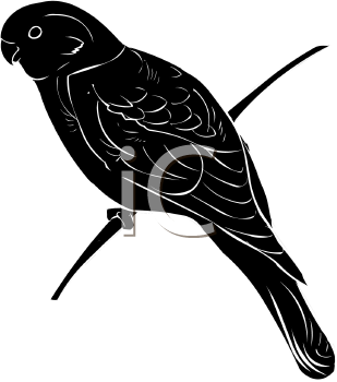 Bird Clipart