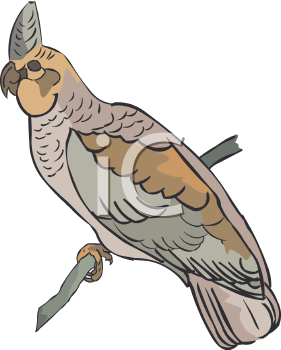 Bird Clipart