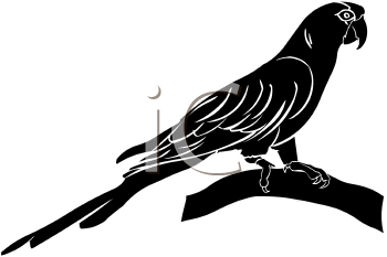 Bird Clipart