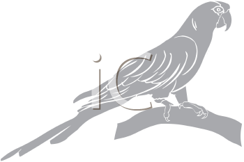 Bird Clipart