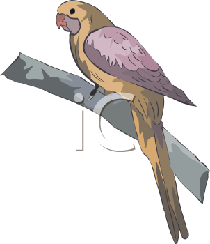 Bird Clipart