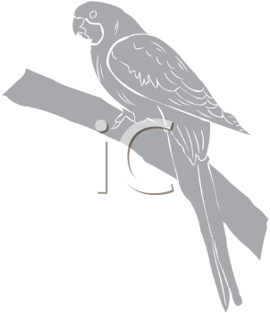 Bird Clipart