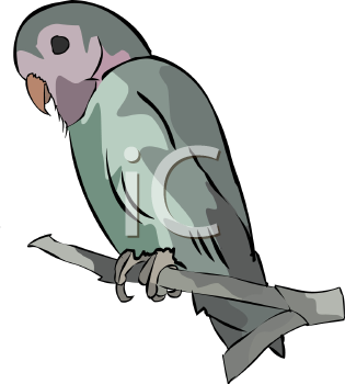 Bird Clipart