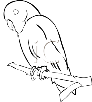 Bird Clipart