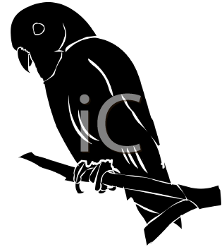 Bird Clipart