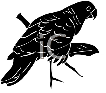 Bird Clipart