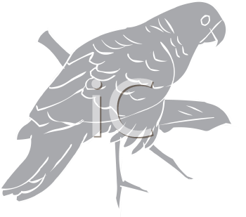 Bird Clipart