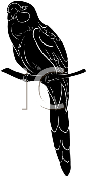 Bird Clipart