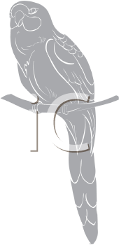 Bird Clipart