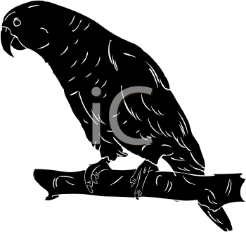 Bird Clipart