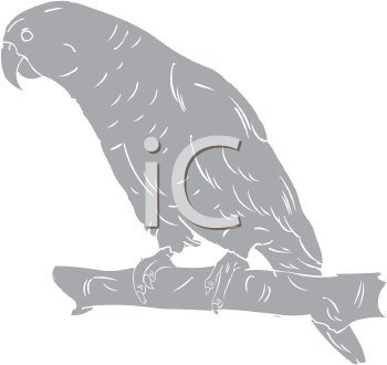 Bird Clipart