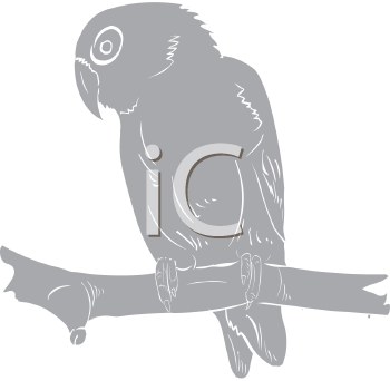 Bird Clipart