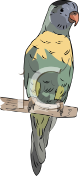 Bird Clipart