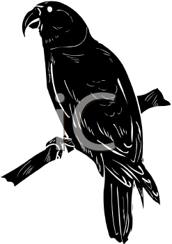 Bird Clipart