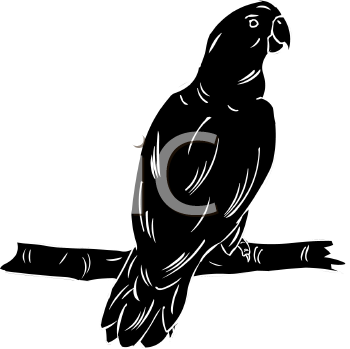 Bird Clipart