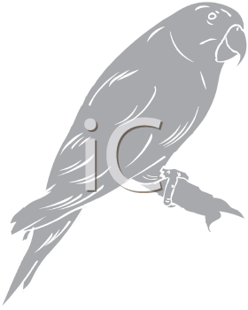 Bird Clipart