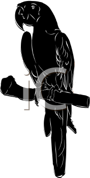 Bird Clipart