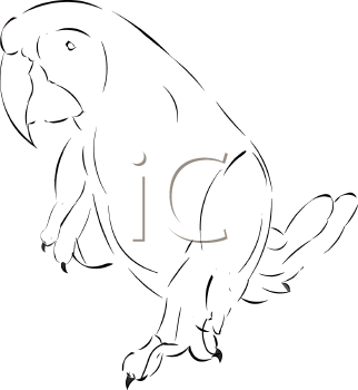 Bird Clipart