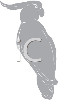 Bird Clipart