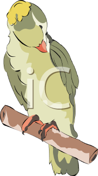 Bird Clipart