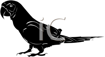 Bird Clipart