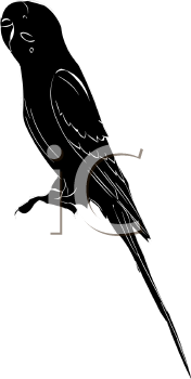 Bird Clipart