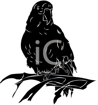 Bird Clipart