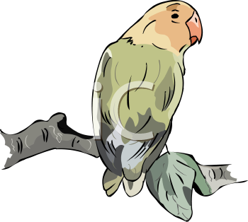 Bird Clipart