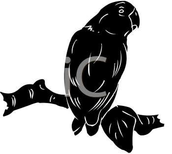 Bird Clipart