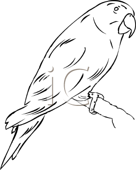 Bird Clipart