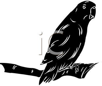 Bird Clipart