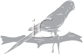 Bird Clipart