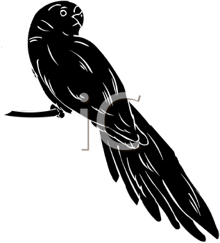 Bird Clipart