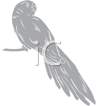 Bird Clipart