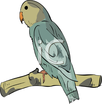 Bird Clipart