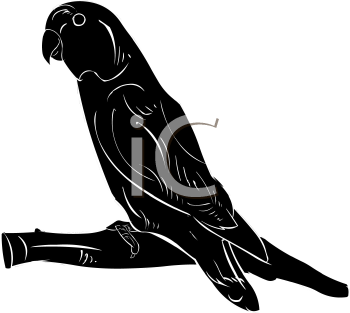 Bird Clipart