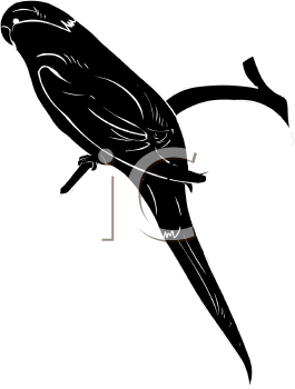 Bird Clipart