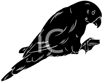 Bird Clipart