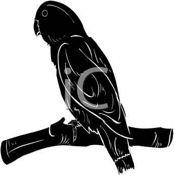 Bird Clipart