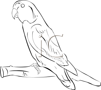 Bird Clipart